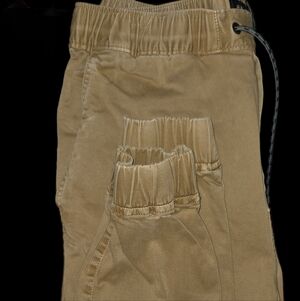 American Eagle Outfitters Men's Tan Joggers